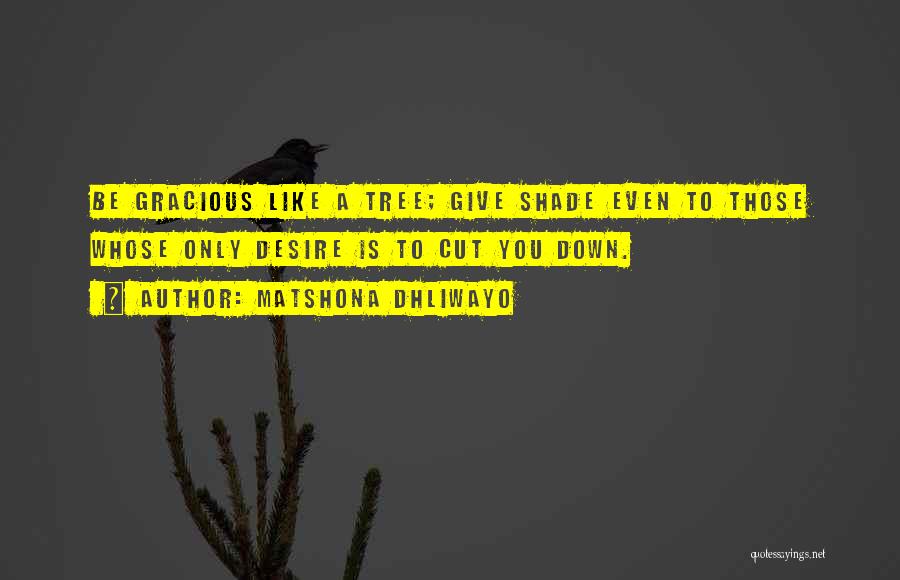 Matshona Dhliwayo Quotes: Be Gracious Like A Tree; Give Shade Even To Those Whose Only Desire Is To Cut You Down.