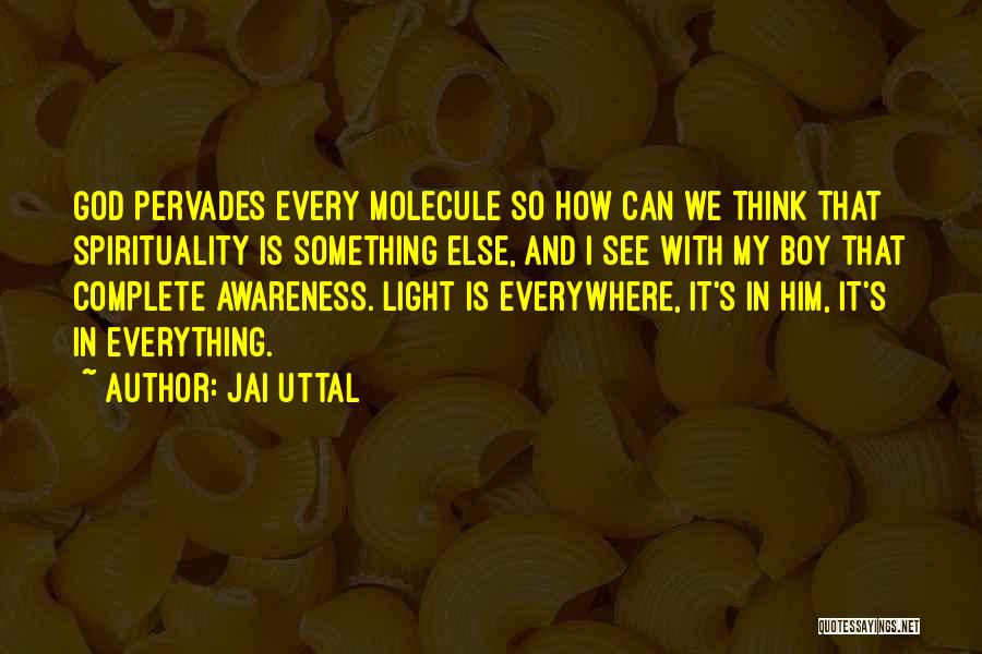 Jai Uttal Quotes: God Pervades Every Molecule So How Can We Think That Spirituality Is Something Else, And I See With My Boy