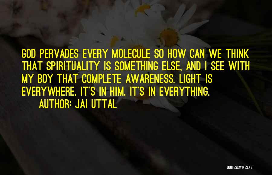 Jai Uttal Quotes: God Pervades Every Molecule So How Can We Think That Spirituality Is Something Else, And I See With My Boy