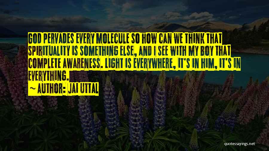 Jai Uttal Quotes: God Pervades Every Molecule So How Can We Think That Spirituality Is Something Else, And I See With My Boy