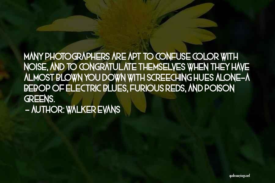 Walker Evans Quotes: Many Photographers Are Apt To Confuse Color With Noise, And To Congratulate Themselves When They Have Almost Blown You Down