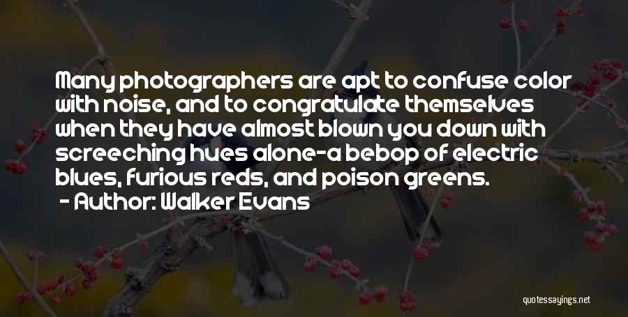 Walker Evans Quotes: Many Photographers Are Apt To Confuse Color With Noise, And To Congratulate Themselves When They Have Almost Blown You Down