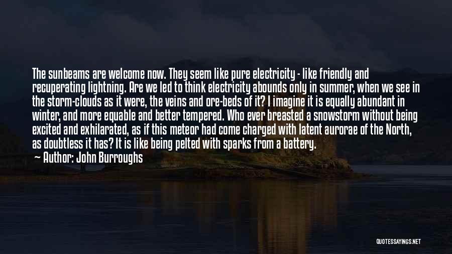 John Burroughs Quotes: The Sunbeams Are Welcome Now. They Seem Like Pure Electricity - Like Friendly And Recuperating Lightning. Are We Led To