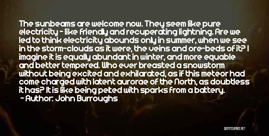 John Burroughs Quotes: The Sunbeams Are Welcome Now. They Seem Like Pure Electricity - Like Friendly And Recuperating Lightning. Are We Led To