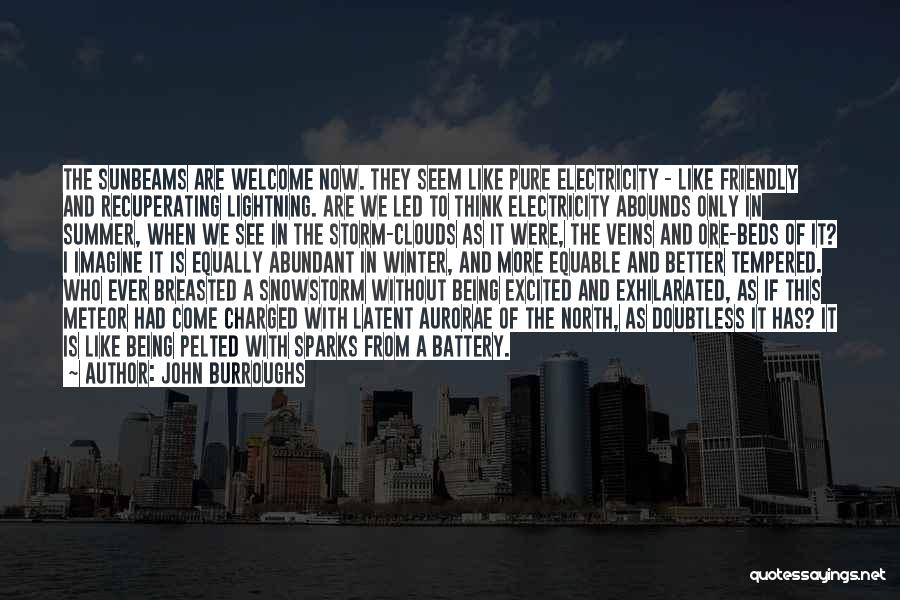 John Burroughs Quotes: The Sunbeams Are Welcome Now. They Seem Like Pure Electricity - Like Friendly And Recuperating Lightning. Are We Led To