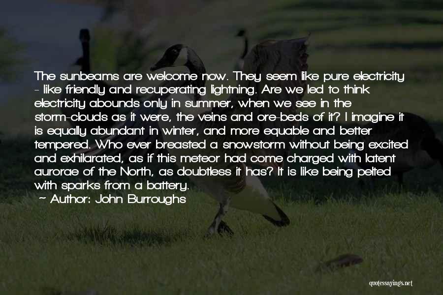 John Burroughs Quotes: The Sunbeams Are Welcome Now. They Seem Like Pure Electricity - Like Friendly And Recuperating Lightning. Are We Led To