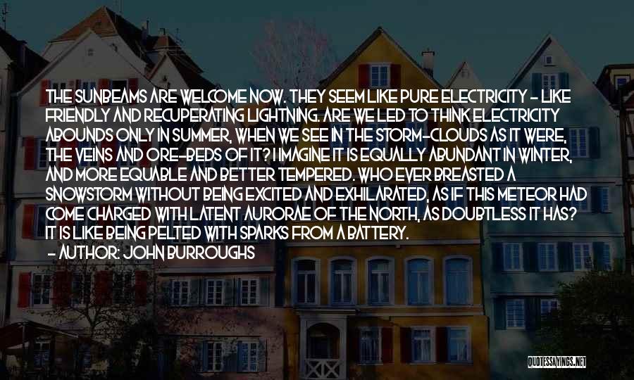 John Burroughs Quotes: The Sunbeams Are Welcome Now. They Seem Like Pure Electricity - Like Friendly And Recuperating Lightning. Are We Led To