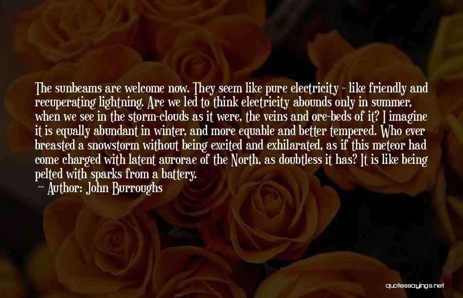 John Burroughs Quotes: The Sunbeams Are Welcome Now. They Seem Like Pure Electricity - Like Friendly And Recuperating Lightning. Are We Led To