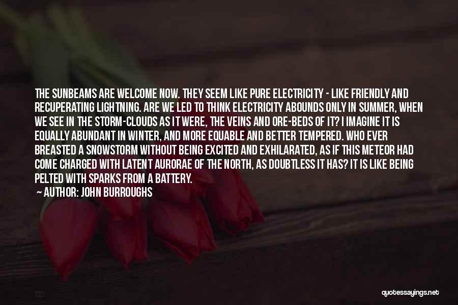 John Burroughs Quotes: The Sunbeams Are Welcome Now. They Seem Like Pure Electricity - Like Friendly And Recuperating Lightning. Are We Led To