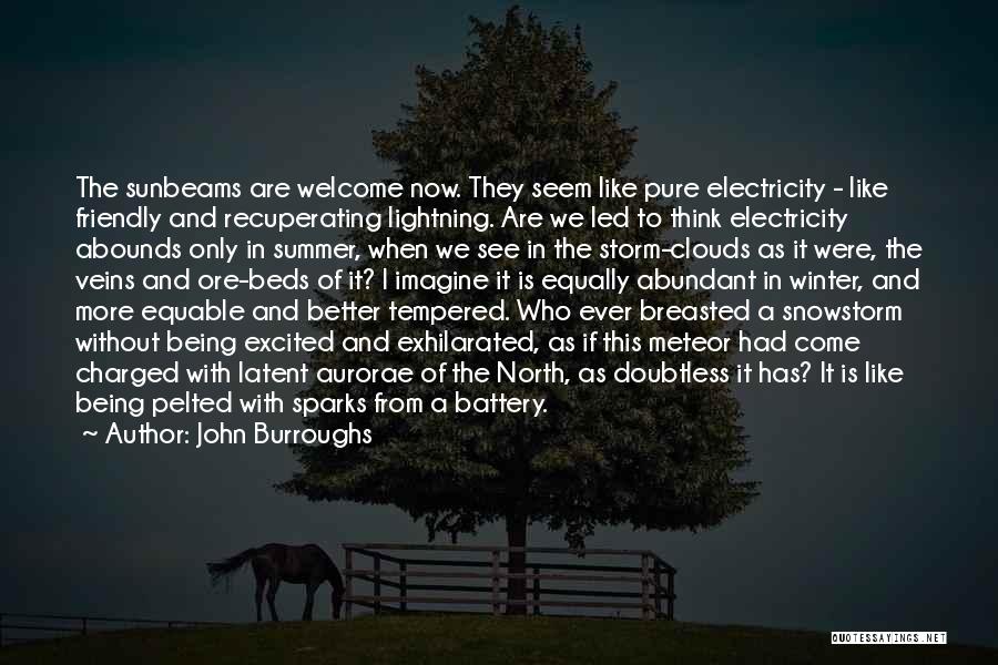 John Burroughs Quotes: The Sunbeams Are Welcome Now. They Seem Like Pure Electricity - Like Friendly And Recuperating Lightning. Are We Led To