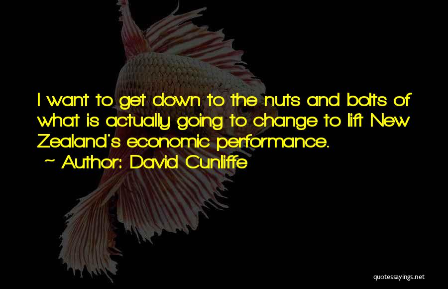 David Cunliffe Quotes: I Want To Get Down To The Nuts And Bolts Of What Is Actually Going To Change To Lift New