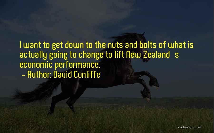 David Cunliffe Quotes: I Want To Get Down To The Nuts And Bolts Of What Is Actually Going To Change To Lift New