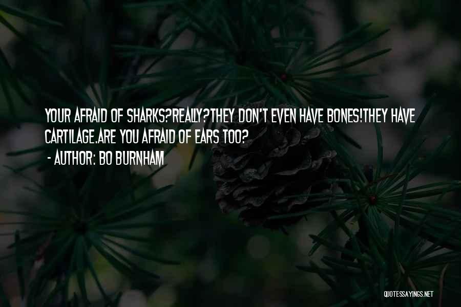 Bo Burnham Quotes: Your Afraid Of Sharks?really?they Don't Even Have Bones!they Have Cartilage.are You Afraid Of Ears Too?