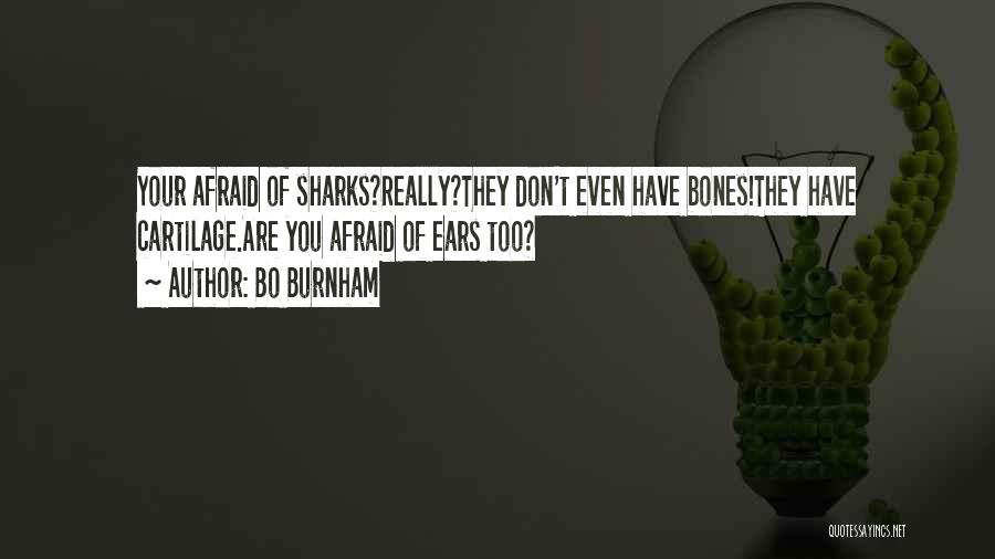 Bo Burnham Quotes: Your Afraid Of Sharks?really?they Don't Even Have Bones!they Have Cartilage.are You Afraid Of Ears Too?