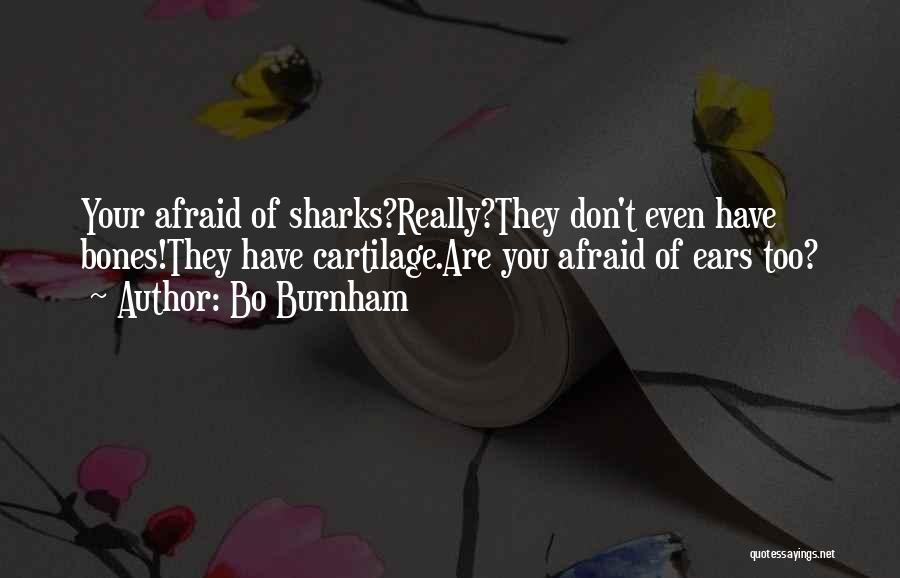 Bo Burnham Quotes: Your Afraid Of Sharks?really?they Don't Even Have Bones!they Have Cartilage.are You Afraid Of Ears Too?