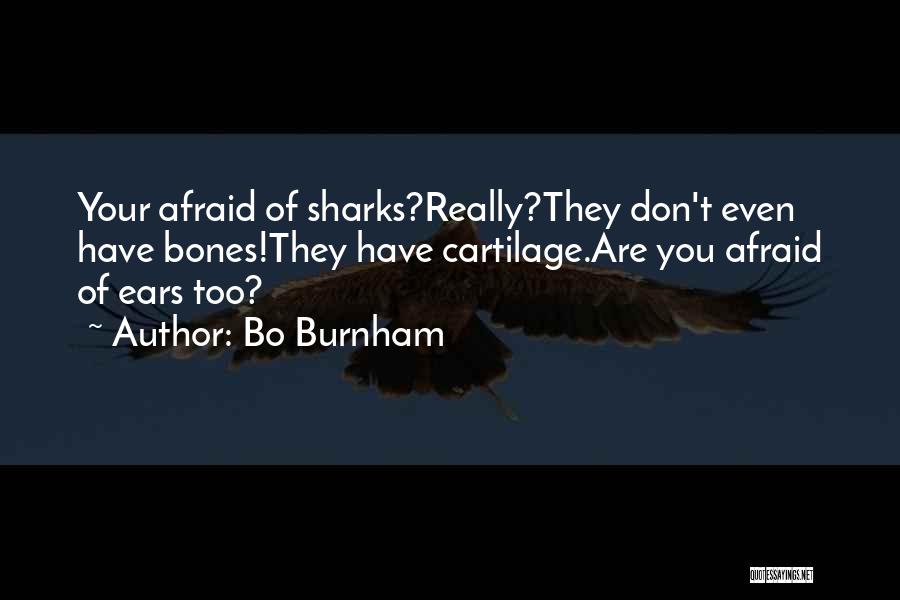 Bo Burnham Quotes: Your Afraid Of Sharks?really?they Don't Even Have Bones!they Have Cartilage.are You Afraid Of Ears Too?