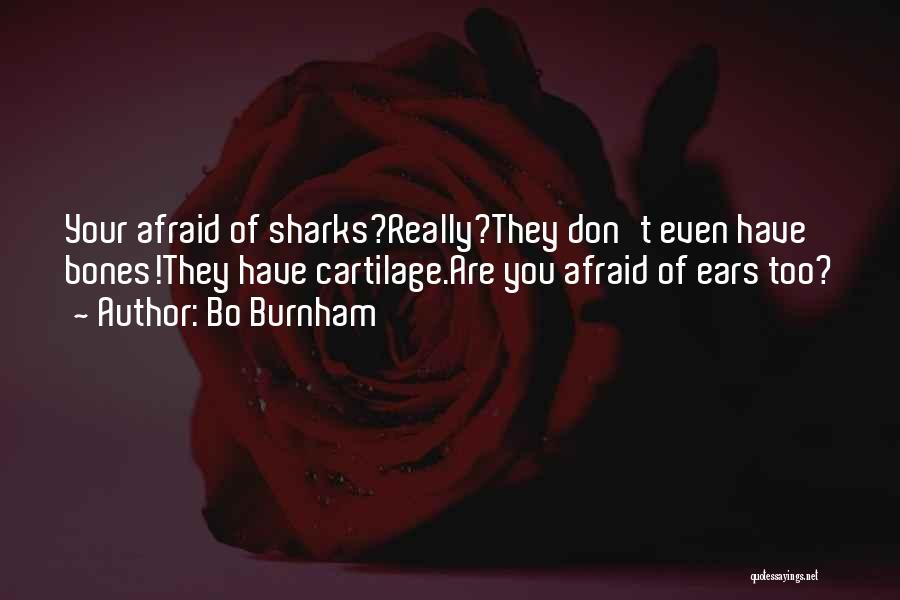 Bo Burnham Quotes: Your Afraid Of Sharks?really?they Don't Even Have Bones!they Have Cartilage.are You Afraid Of Ears Too?