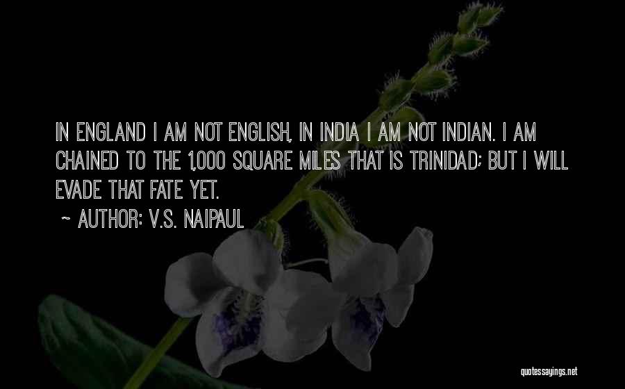 V.S. Naipaul Quotes: In England I Am Not English, In India I Am Not Indian. I Am Chained To The 1,000 Square Miles