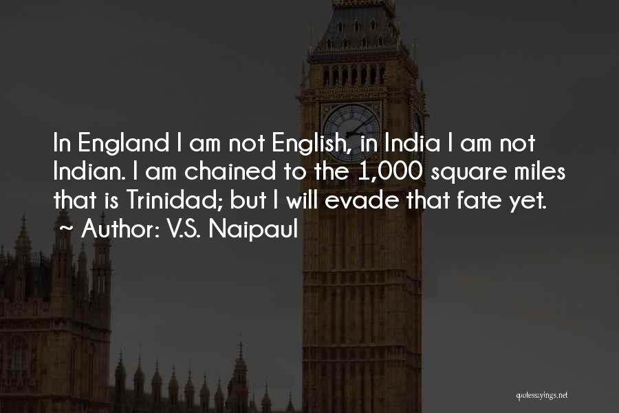 V.S. Naipaul Quotes: In England I Am Not English, In India I Am Not Indian. I Am Chained To The 1,000 Square Miles