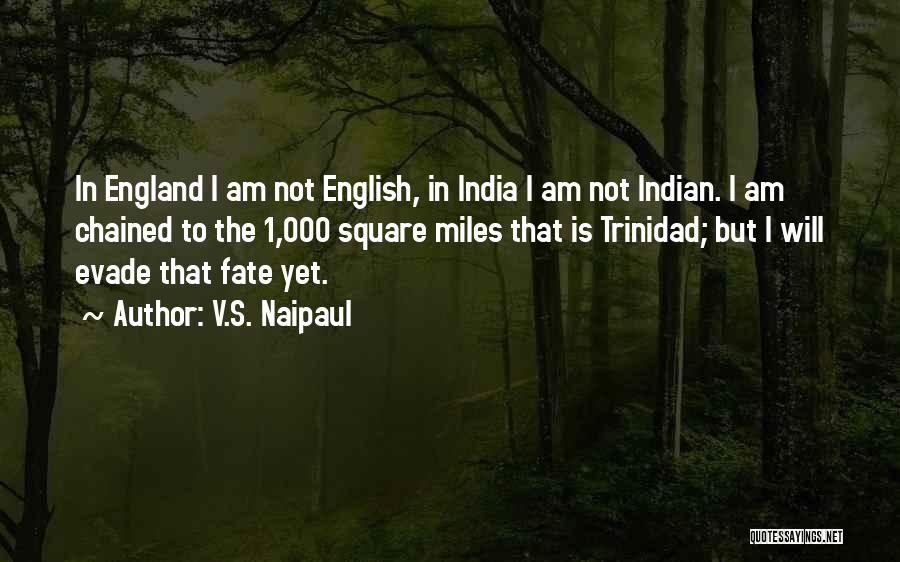 V.S. Naipaul Quotes: In England I Am Not English, In India I Am Not Indian. I Am Chained To The 1,000 Square Miles