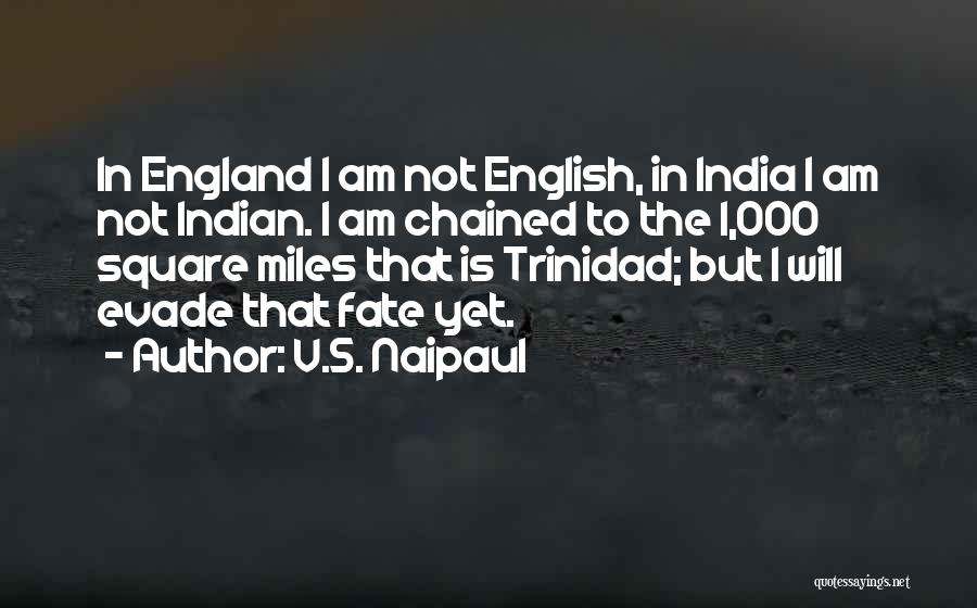 V.S. Naipaul Quotes: In England I Am Not English, In India I Am Not Indian. I Am Chained To The 1,000 Square Miles