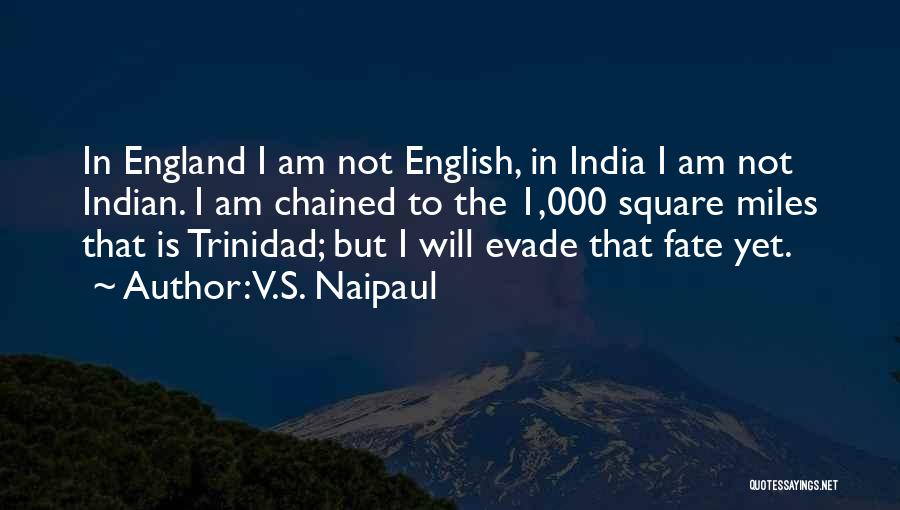 V.S. Naipaul Quotes: In England I Am Not English, In India I Am Not Indian. I Am Chained To The 1,000 Square Miles
