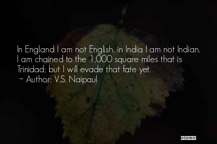 V.S. Naipaul Quotes: In England I Am Not English, In India I Am Not Indian. I Am Chained To The 1,000 Square Miles