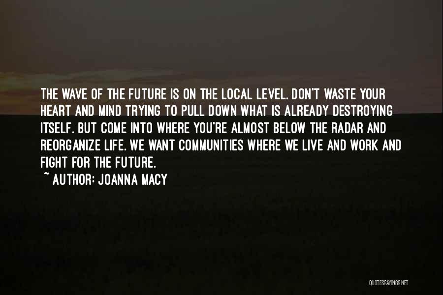 Joanna Macy Quotes: The Wave Of The Future Is On The Local Level. Don't Waste Your Heart And Mind Trying To Pull Down