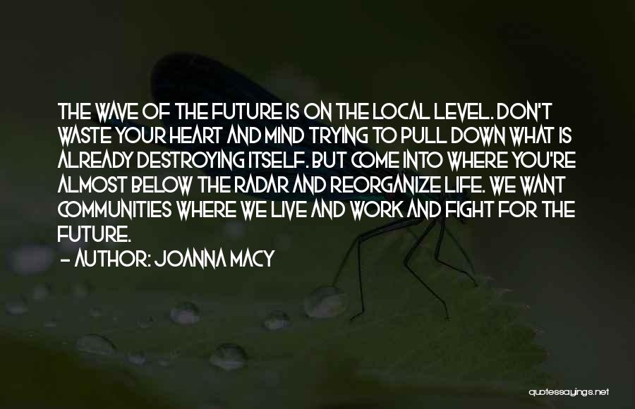 Joanna Macy Quotes: The Wave Of The Future Is On The Local Level. Don't Waste Your Heart And Mind Trying To Pull Down