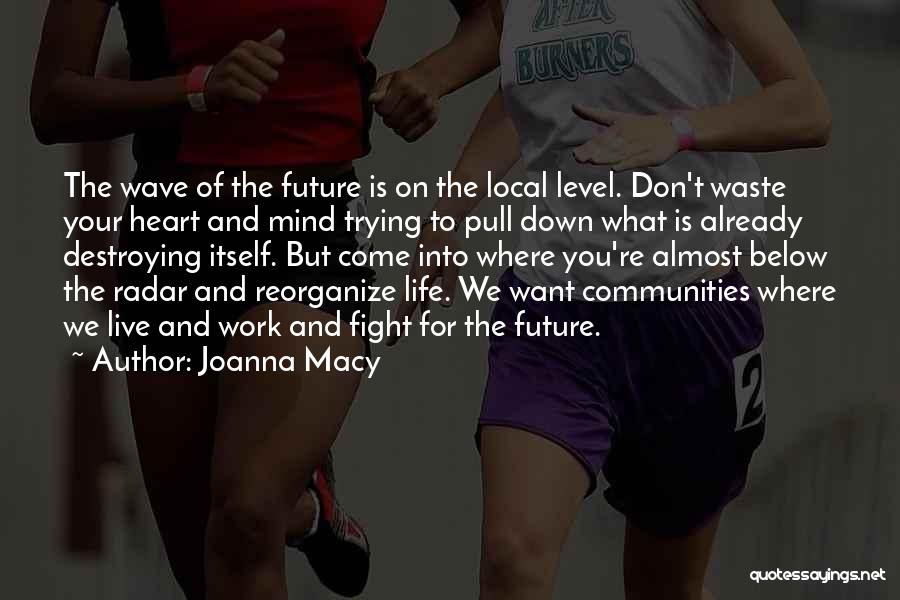 Joanna Macy Quotes: The Wave Of The Future Is On The Local Level. Don't Waste Your Heart And Mind Trying To Pull Down