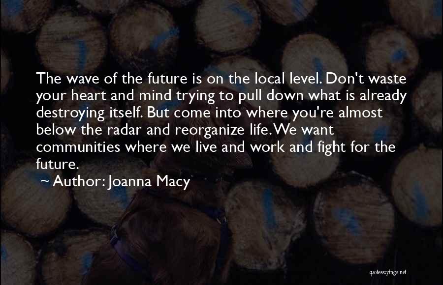 Joanna Macy Quotes: The Wave Of The Future Is On The Local Level. Don't Waste Your Heart And Mind Trying To Pull Down