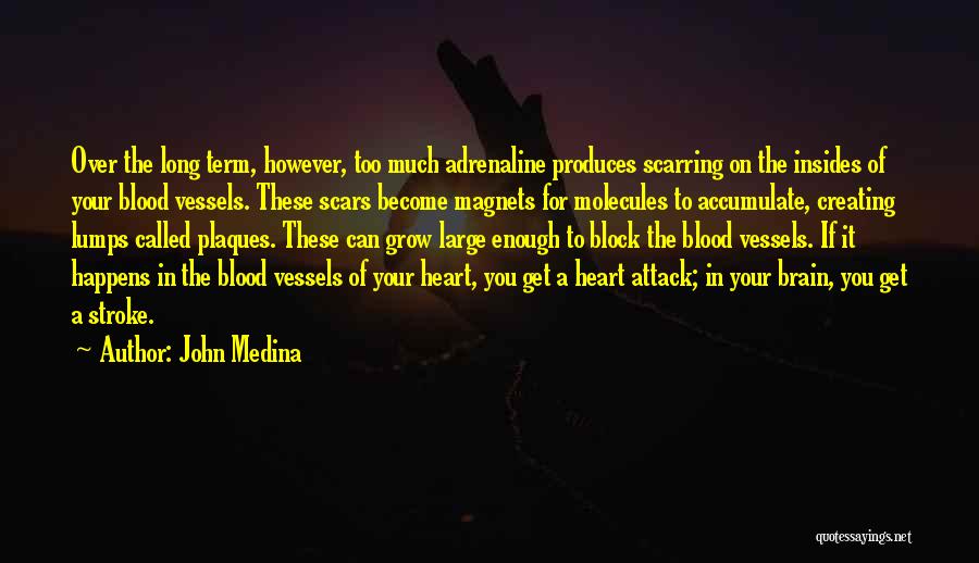 John Medina Quotes: Over The Long Term, However, Too Much Adrenaline Produces Scarring On The Insides Of Your Blood Vessels. These Scars Become