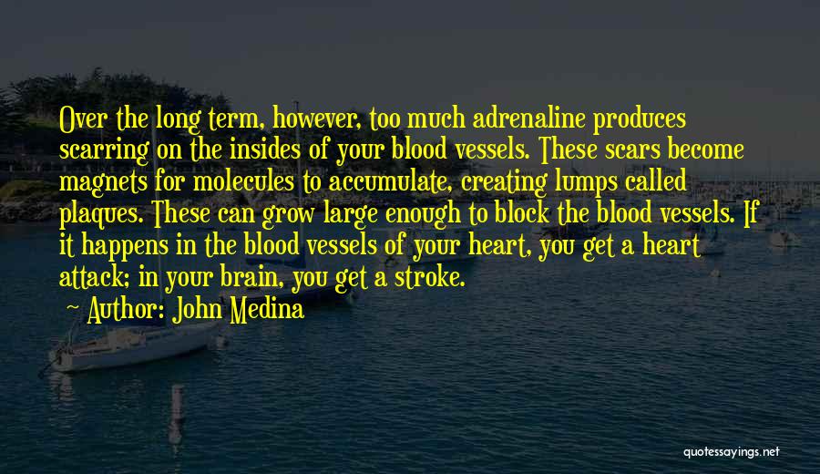 John Medina Quotes: Over The Long Term, However, Too Much Adrenaline Produces Scarring On The Insides Of Your Blood Vessels. These Scars Become