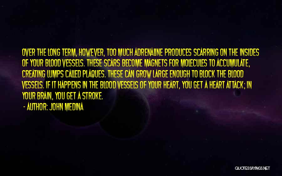 John Medina Quotes: Over The Long Term, However, Too Much Adrenaline Produces Scarring On The Insides Of Your Blood Vessels. These Scars Become