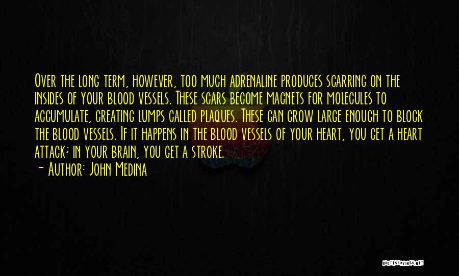 John Medina Quotes: Over The Long Term, However, Too Much Adrenaline Produces Scarring On The Insides Of Your Blood Vessels. These Scars Become