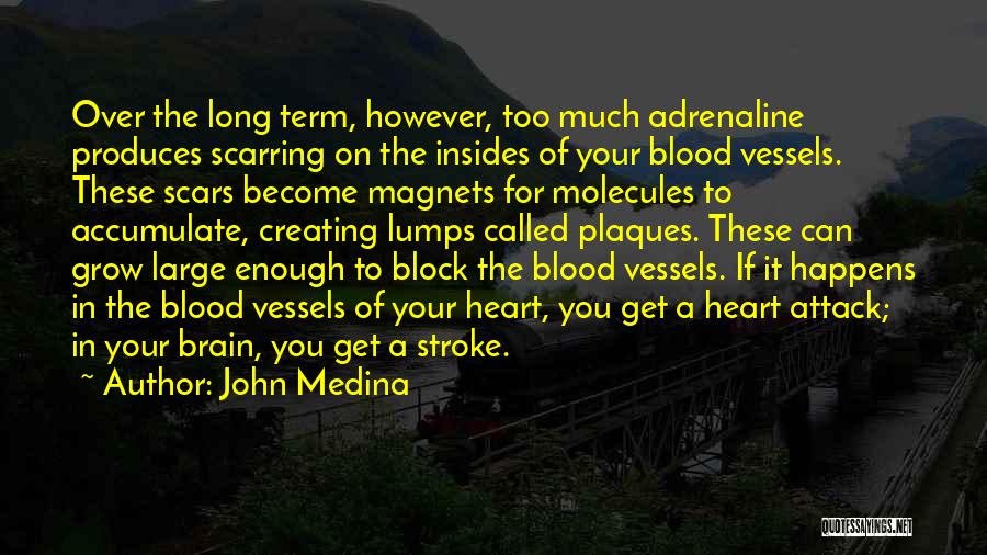 John Medina Quotes: Over The Long Term, However, Too Much Adrenaline Produces Scarring On The Insides Of Your Blood Vessels. These Scars Become