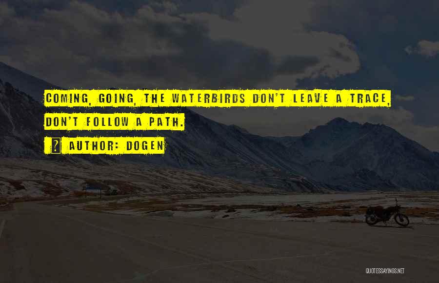 Dogen Quotes: Coming, Going, The Waterbirds Don't Leave A Trace, Don't Follow A Path.