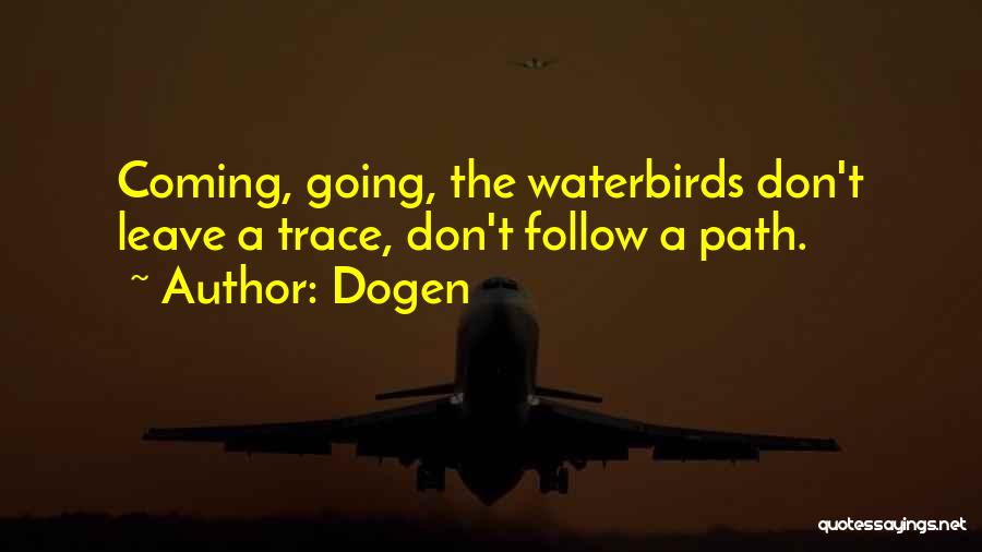 Dogen Quotes: Coming, Going, The Waterbirds Don't Leave A Trace, Don't Follow A Path.