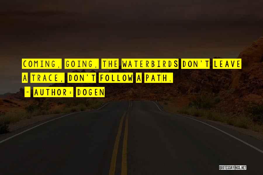 Dogen Quotes: Coming, Going, The Waterbirds Don't Leave A Trace, Don't Follow A Path.