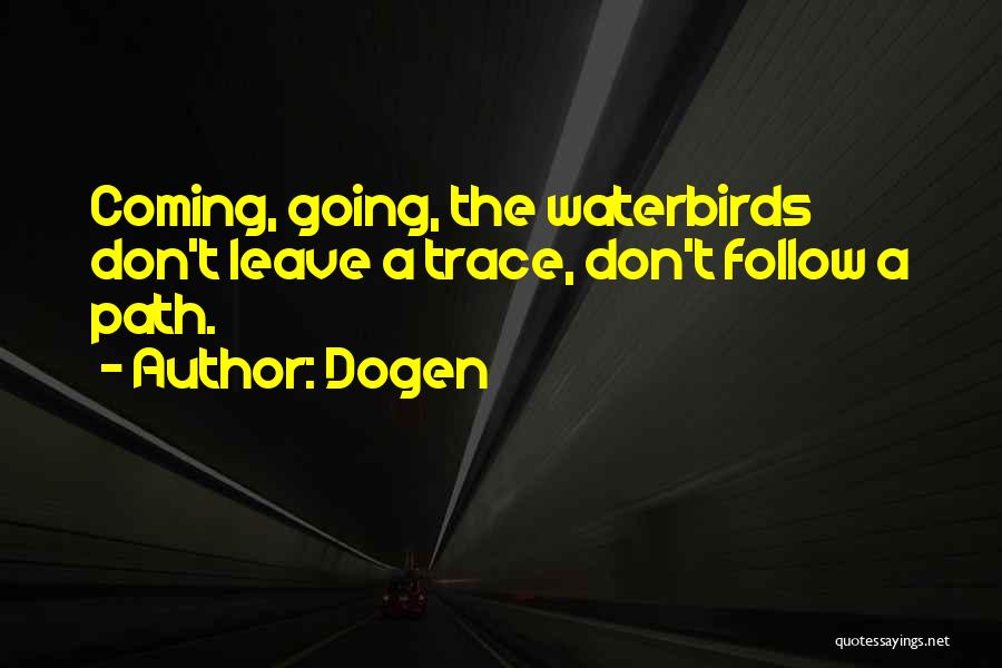 Dogen Quotes: Coming, Going, The Waterbirds Don't Leave A Trace, Don't Follow A Path.