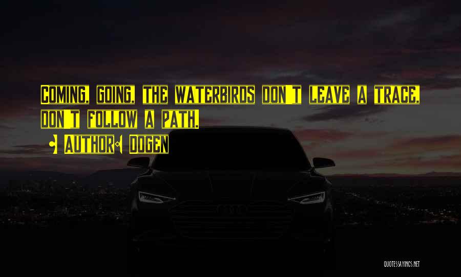 Dogen Quotes: Coming, Going, The Waterbirds Don't Leave A Trace, Don't Follow A Path.