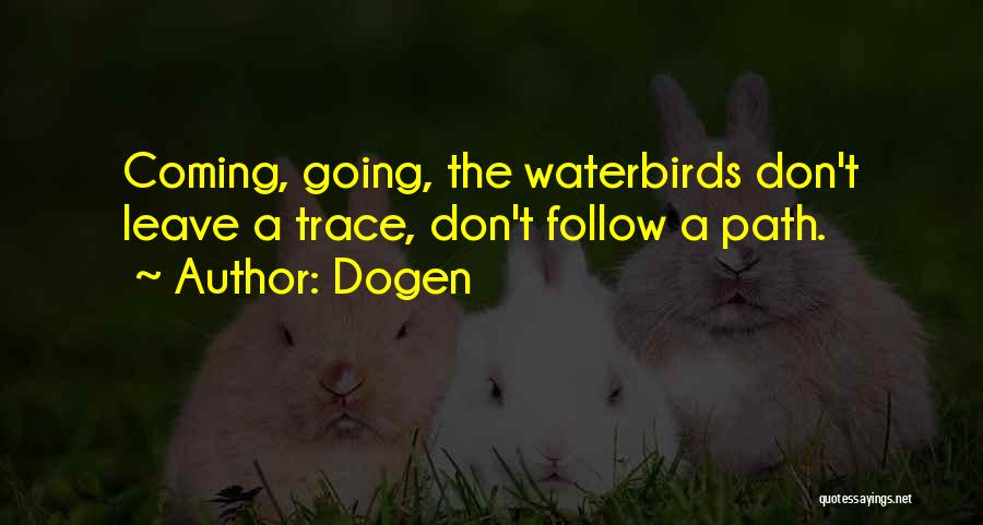 Dogen Quotes: Coming, Going, The Waterbirds Don't Leave A Trace, Don't Follow A Path.