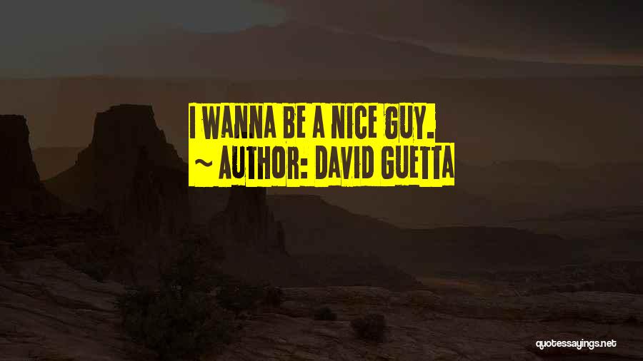 David Guetta Quotes: I Wanna Be A Nice Guy.