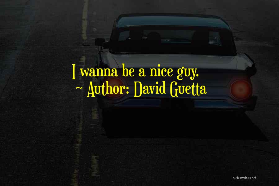 David Guetta Quotes: I Wanna Be A Nice Guy.