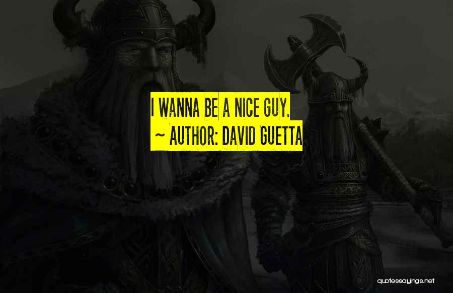 David Guetta Quotes: I Wanna Be A Nice Guy.