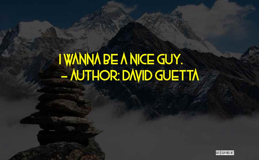 David Guetta Quotes: I Wanna Be A Nice Guy.