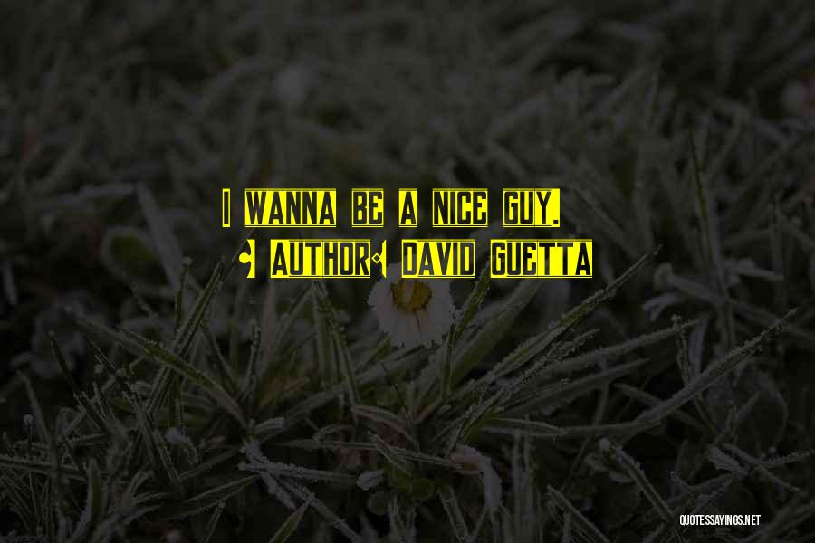 David Guetta Quotes: I Wanna Be A Nice Guy.