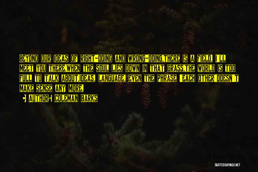 Coleman Barks Quotes: Beyond Our Ideas Of Right-doing And Wrong-doing,there Is A Field. I'll Meet You There.when The Soul Lies Down In That