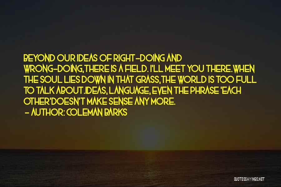 Coleman Barks Quotes: Beyond Our Ideas Of Right-doing And Wrong-doing,there Is A Field. I'll Meet You There.when The Soul Lies Down In That