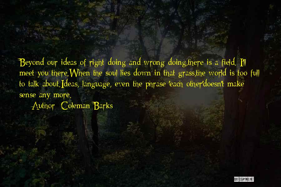 Coleman Barks Quotes: Beyond Our Ideas Of Right-doing And Wrong-doing,there Is A Field. I'll Meet You There.when The Soul Lies Down In That